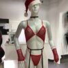 DF019 Santa Sexy