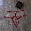 PT005-BI Panty tipo harness - Image 3